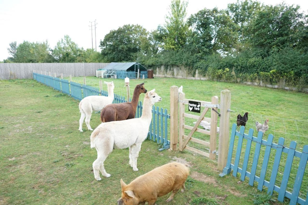 Alpaca Lodge シッティングボーン エクステリア 写真